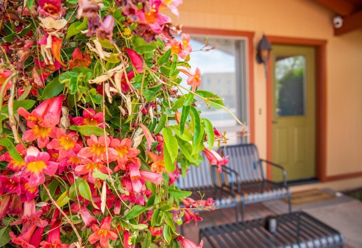 Newly Remodeled Family Friendly Home Page Exterior photo